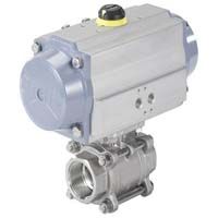 Pneumatic rotary actuator