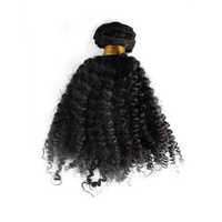 Afro Wigs