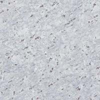 Moon White Granite