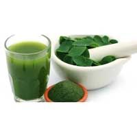 Moringa Juice