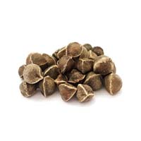 Organic moringa seeds