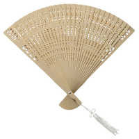 Folding Hand Fan