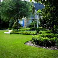 Roof Landscaping Services