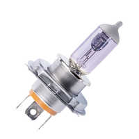 Motorcycle light bulb