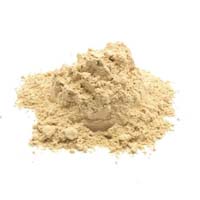 Bacillus coagulans