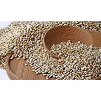 Quinoa