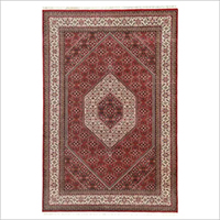Bidjar carpet