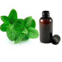 Mentha citrata oil