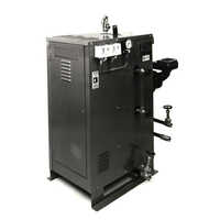 Electric steam boilers