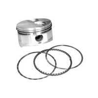 Piston Ring Springs