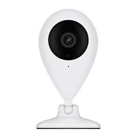 Remote surveillance system