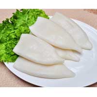 Frozen squid
