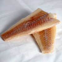 Frozen Fish Fillet