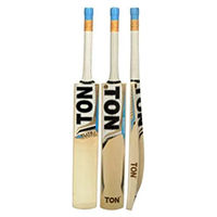 Kashmir willow cricket bat