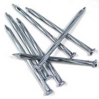 Concrete nail
