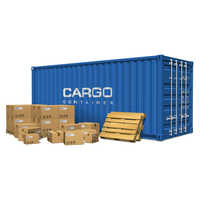 Cargo Surveying Services