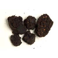 प्रेस कीचड़