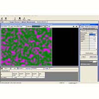 Image analysis software