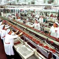 Food Processing Plant