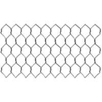 Hexagonal Wire Mesh