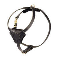 Leather harness