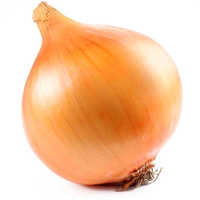 Yellow Onion