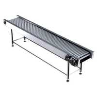 Roller inspection table