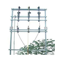 Double pole structure