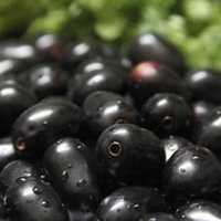 Jamun