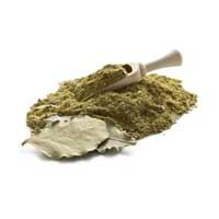 Bay leaf powder