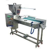 Endless belt polishing machine