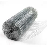 Galvanized iron wire mesh