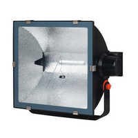 Halogen light