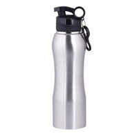 Stainless steel bottle