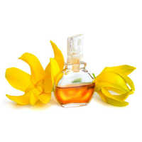 Anti cellulite oil