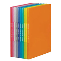 Pocket file