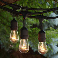 Garden string lights