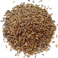 Medicinal seeds