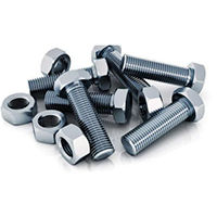 Ss nut bolt