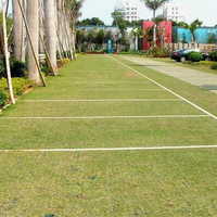 Grass Pavers