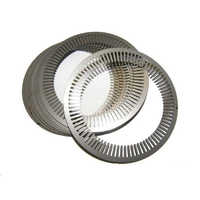 Motor Laminations