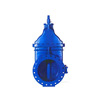 Sluice gate valve