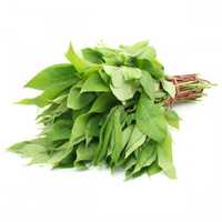 Cassava leaves