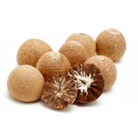 Areca Nut