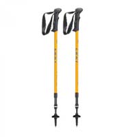Trekking poles