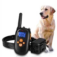 Dog training collar