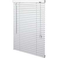 Vinyl window blinds