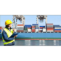 Cargo Inspection Services