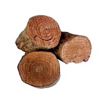 Salacia root