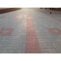 Cement paver block